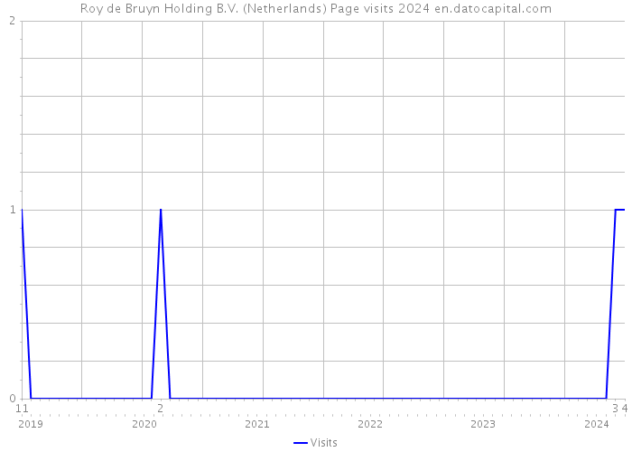 Roy de Bruyn Holding B.V. (Netherlands) Page visits 2024 