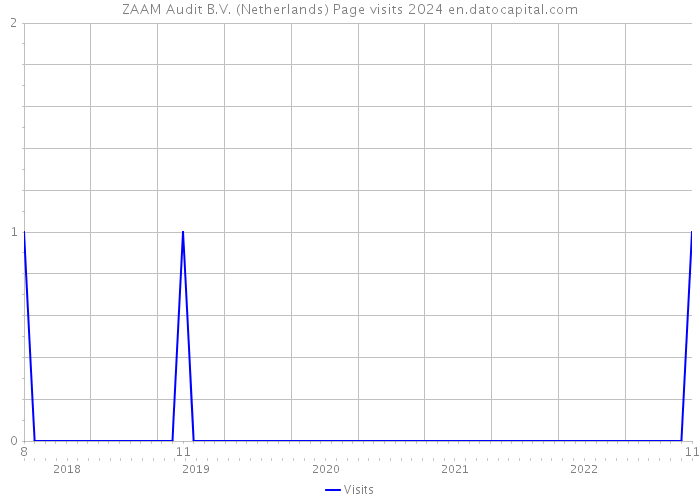 ZAAM Audit B.V. (Netherlands) Page visits 2024 