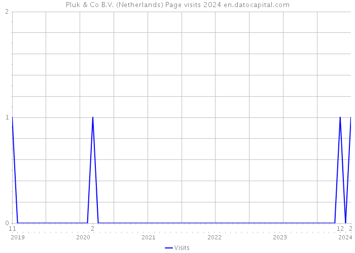 Pluk & Co B.V. (Netherlands) Page visits 2024 