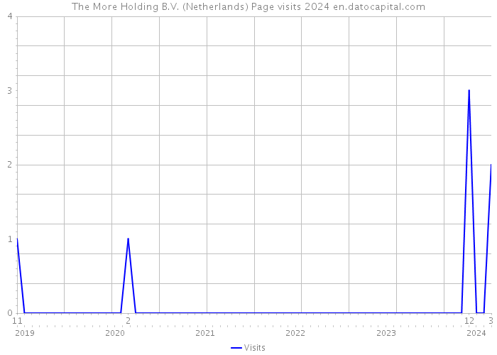 The More Holding B.V. (Netherlands) Page visits 2024 