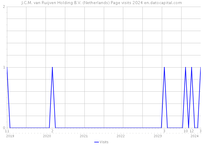 J.C.M. van Ruijven Holding B.V. (Netherlands) Page visits 2024 