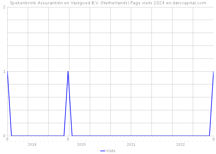Spekenbrink Assurantiën en Vastgoed B.V. (Netherlands) Page visits 2024 