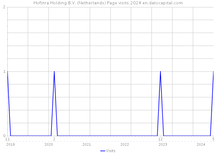 Hofstra Holding B.V. (Netherlands) Page visits 2024 