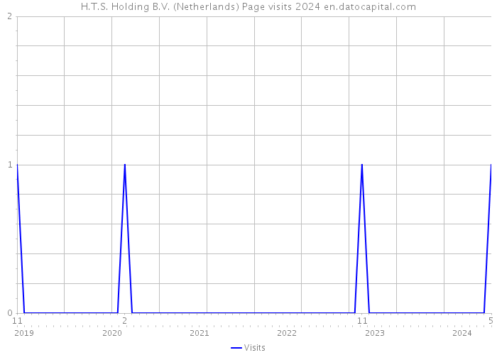 H.T.S. Holding B.V. (Netherlands) Page visits 2024 