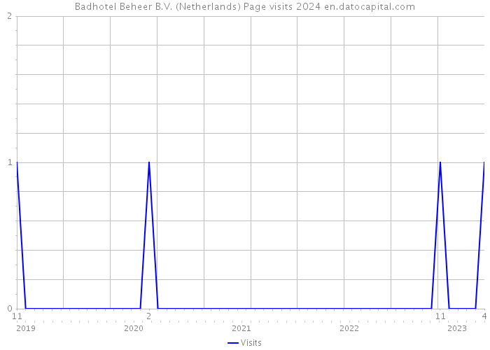 Badhotel Beheer B.V. (Netherlands) Page visits 2024 
