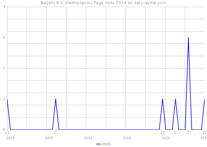 Baijens B.V. (Netherlands) Page visits 2024 