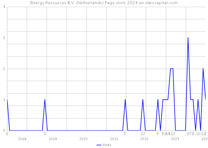 Energy Resources B.V. (Netherlands) Page visits 2024 