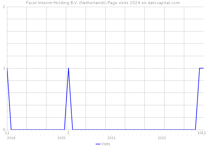 Facet Interim Holding B.V. (Netherlands) Page visits 2024 