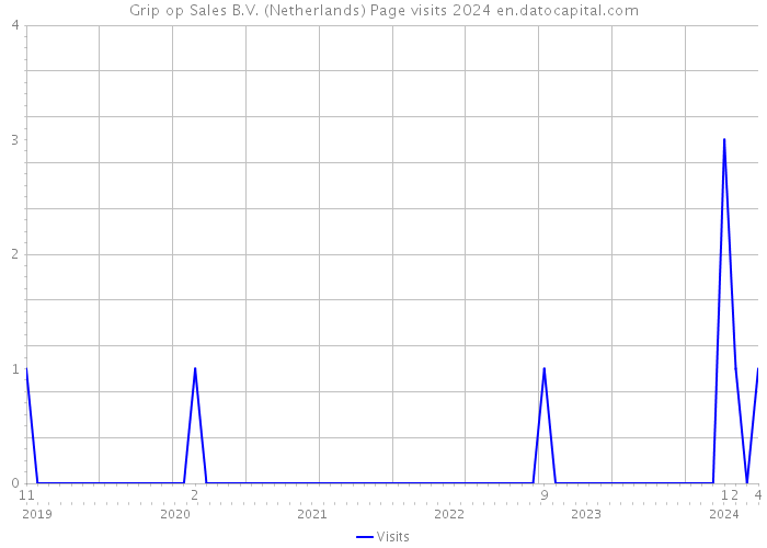 Grip op Sales B.V. (Netherlands) Page visits 2024 