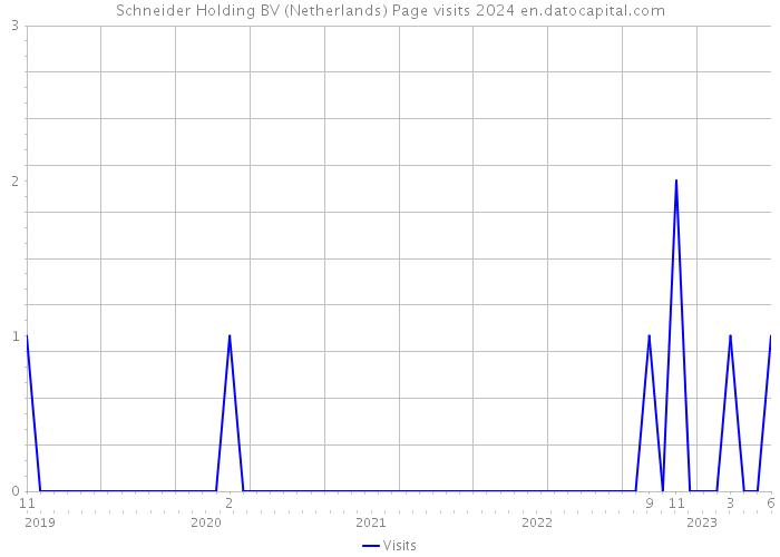 Schneider Holding BV (Netherlands) Page visits 2024 