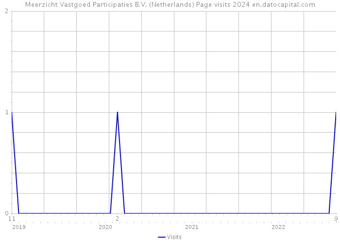 Meerzicht Vastgoed Participaties B.V. (Netherlands) Page visits 2024 