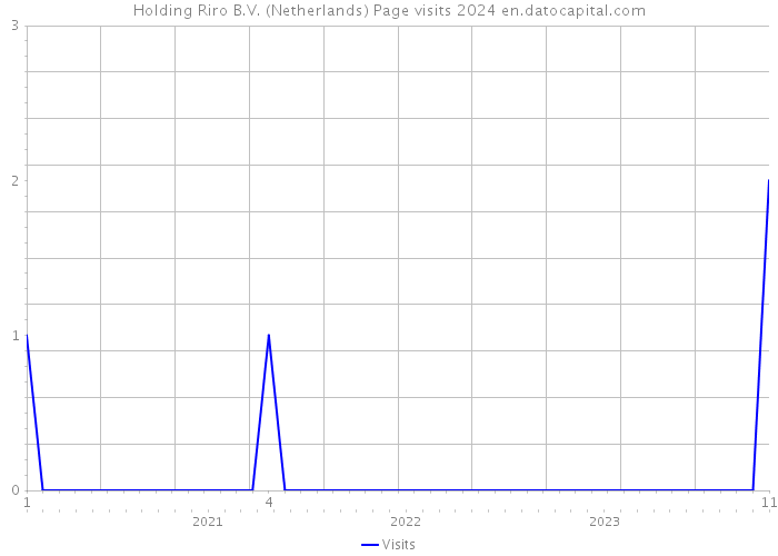 Holding Riro B.V. (Netherlands) Page visits 2024 