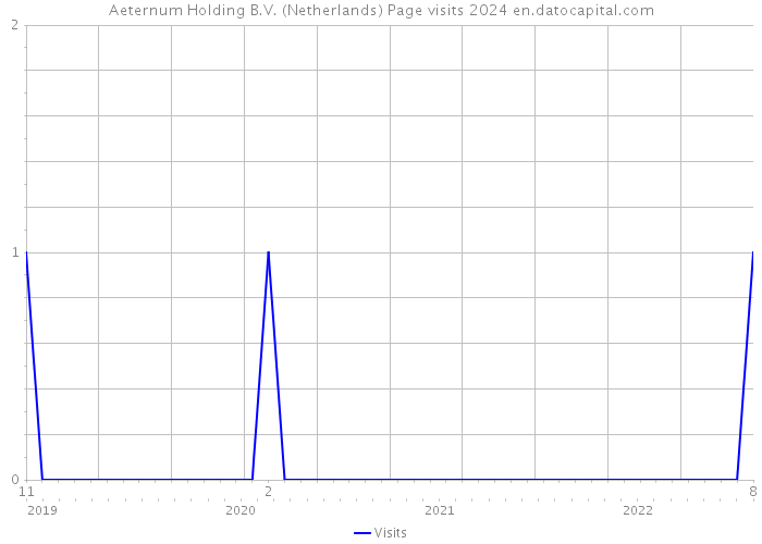 Aeternum Holding B.V. (Netherlands) Page visits 2024 