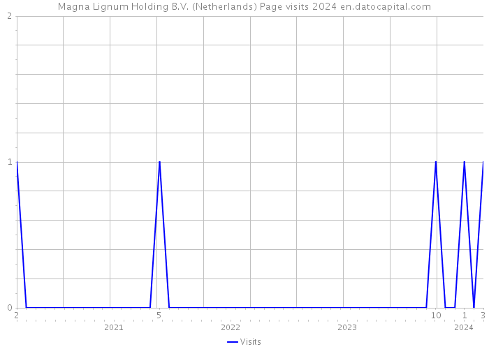 Magna Lignum Holding B.V. (Netherlands) Page visits 2024 