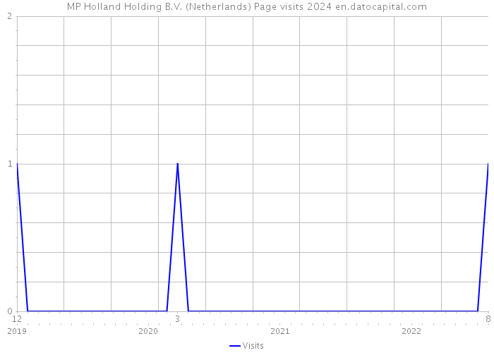 MP Holland Holding B.V. (Netherlands) Page visits 2024 