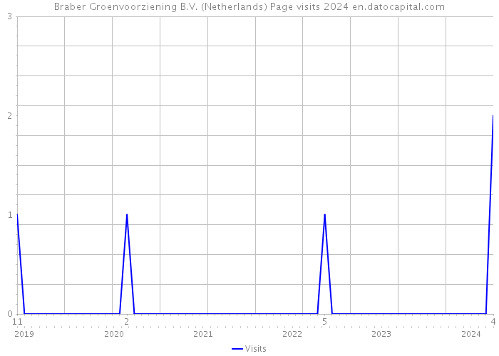 Braber Groenvoorziening B.V. (Netherlands) Page visits 2024 