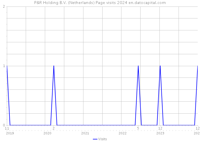 P&R Holding B.V. (Netherlands) Page visits 2024 
