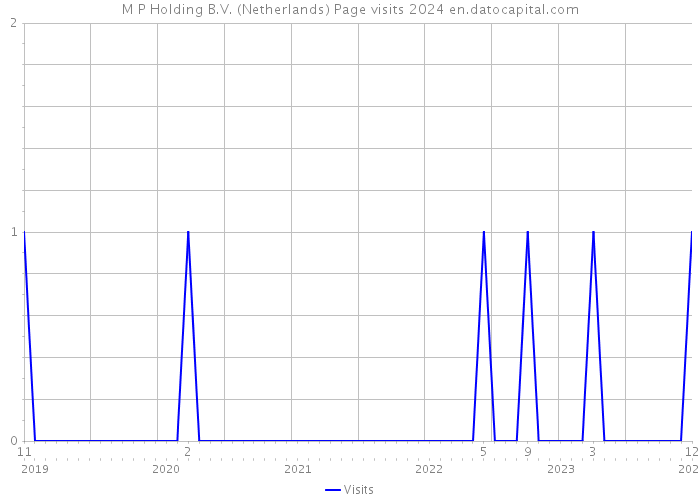 M P Holding B.V. (Netherlands) Page visits 2024 