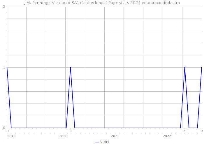 J.M. Pennings Vastgoed B.V. (Netherlands) Page visits 2024 