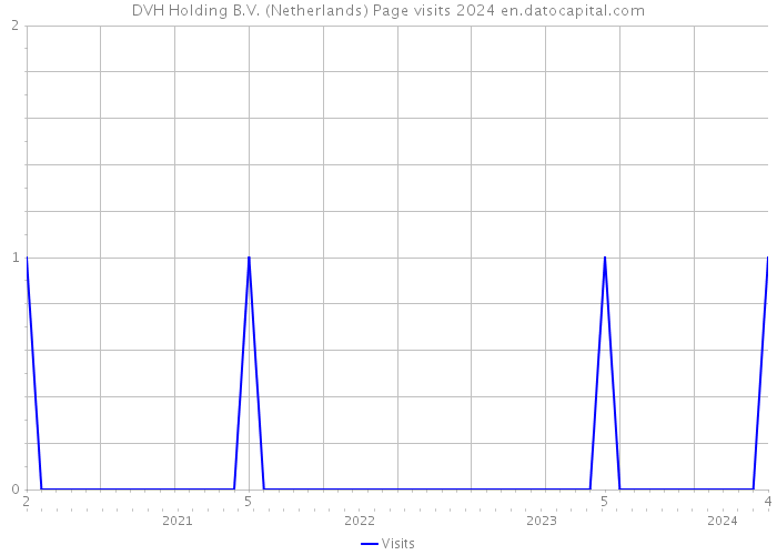 DVH Holding B.V. (Netherlands) Page visits 2024 