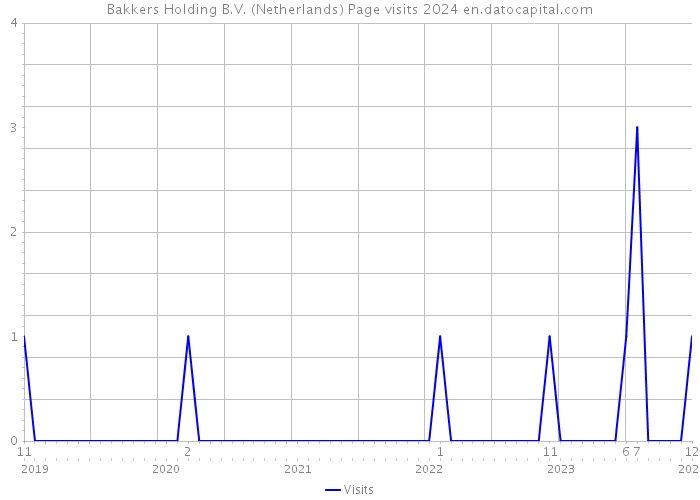 Bakkers Holding B.V. (Netherlands) Page visits 2024 