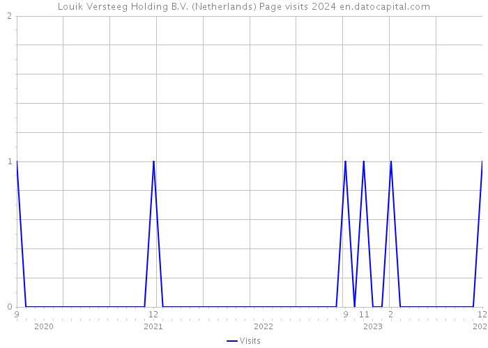 Louik Versteeg Holding B.V. (Netherlands) Page visits 2024 