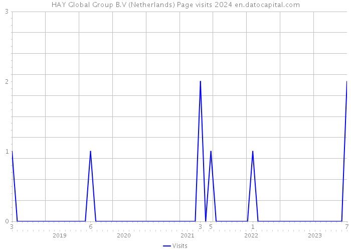 HAY Global Group B.V (Netherlands) Page visits 2024 