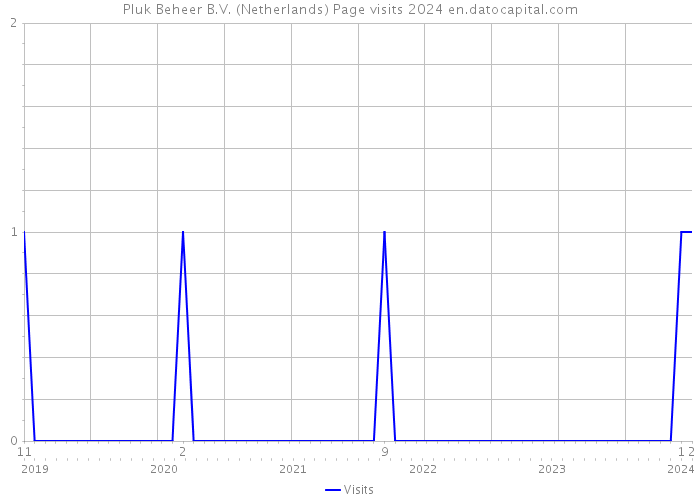 Pluk Beheer B.V. (Netherlands) Page visits 2024 