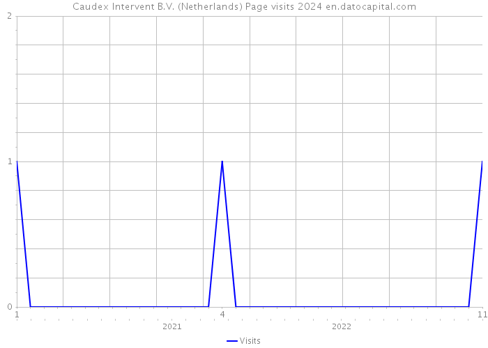 Caudex Intervent B.V. (Netherlands) Page visits 2024 