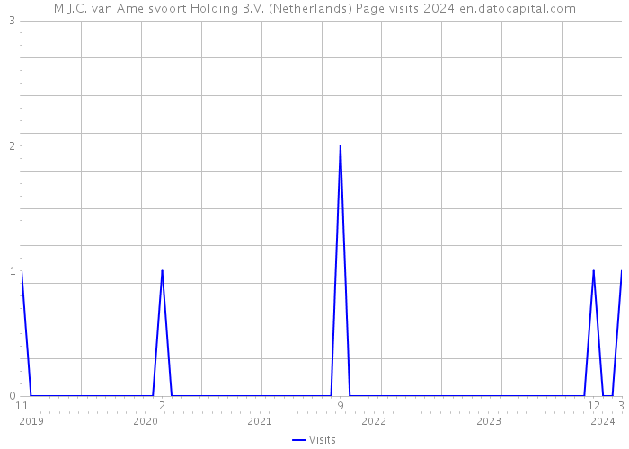 M.J.C. van Amelsvoort Holding B.V. (Netherlands) Page visits 2024 