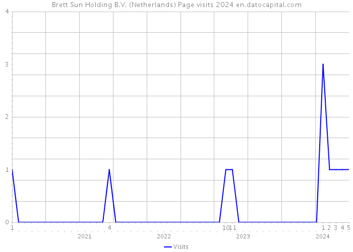 Brett Sun Holding B.V. (Netherlands) Page visits 2024 