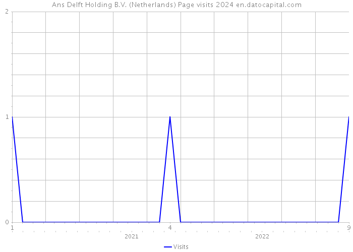 Ans Delft Holding B.V. (Netherlands) Page visits 2024 