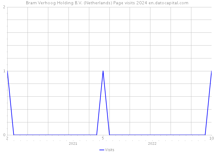 Bram Verhoog Holding B.V. (Netherlands) Page visits 2024 