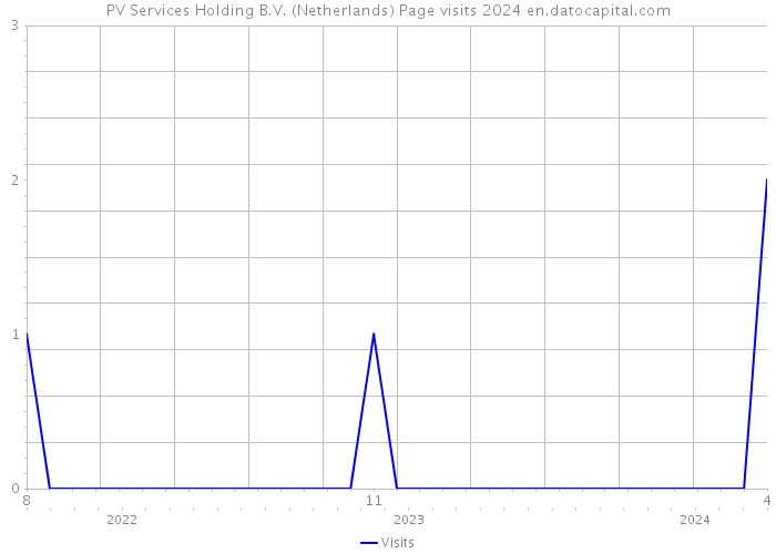 PV Services Holding B.V. (Netherlands) Page visits 2024 