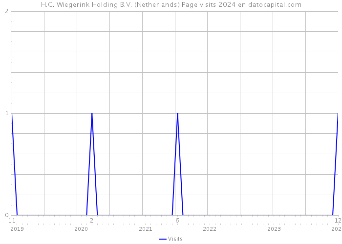 H.G. Wiegerink Holding B.V. (Netherlands) Page visits 2024 
