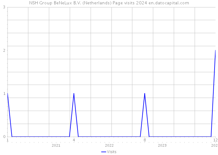 NSH Group BeNeLux B.V. (Netherlands) Page visits 2024 