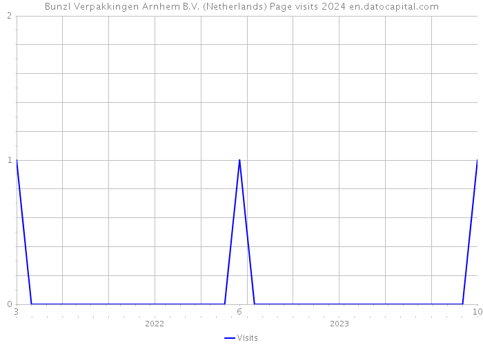 Bunzl Verpakkingen Arnhem B.V. (Netherlands) Page visits 2024 