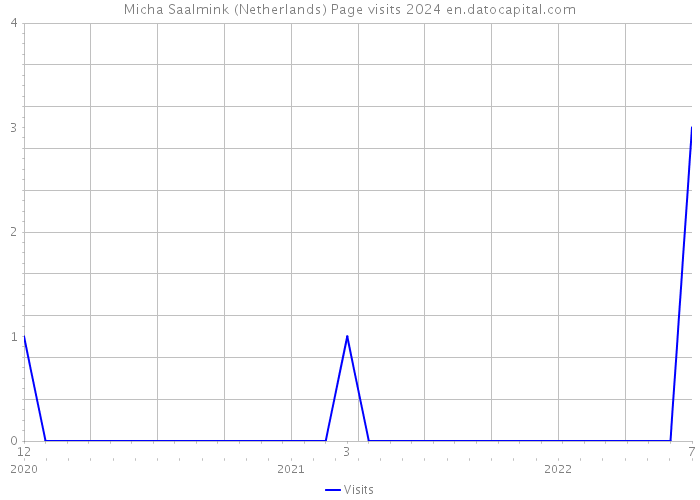 Micha Saalmink (Netherlands) Page visits 2024 