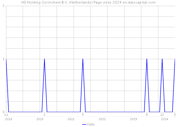 HS Holding Gorinchem B.V. (Netherlands) Page visits 2024 