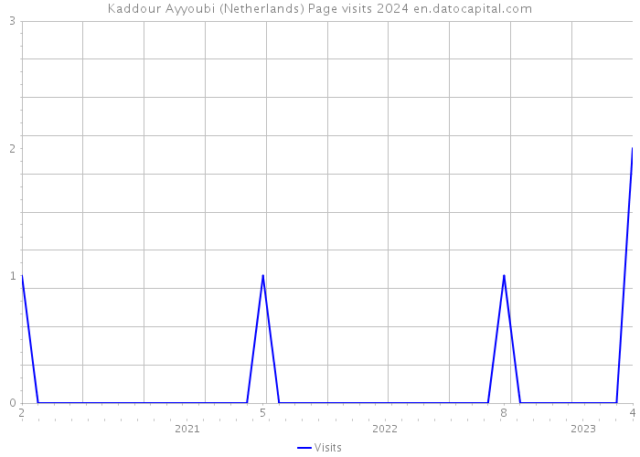 Kaddour Ayyoubi (Netherlands) Page visits 2024 