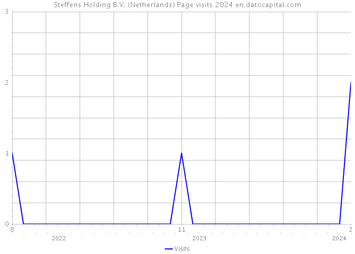 Steffens Holding B.V. (Netherlands) Page visits 2024 