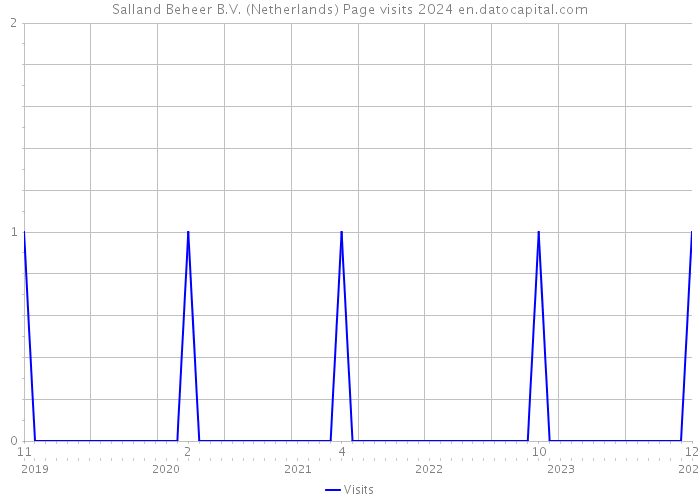 Salland Beheer B.V. (Netherlands) Page visits 2024 