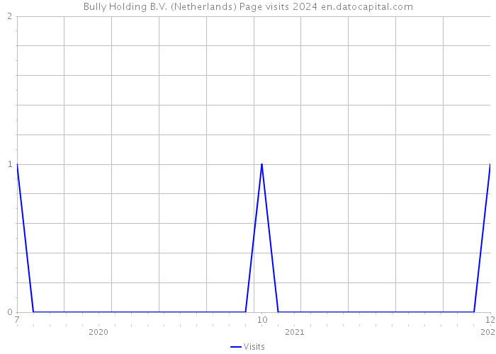 Bully Holding B.V. (Netherlands) Page visits 2024 