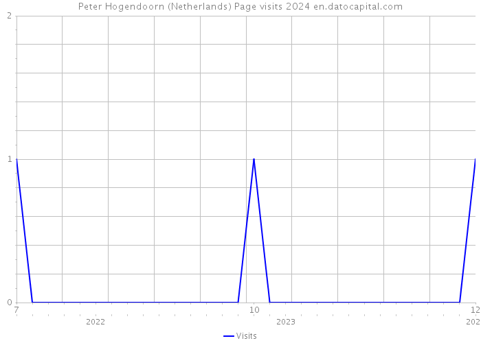 Peter Hogendoorn (Netherlands) Page visits 2024 