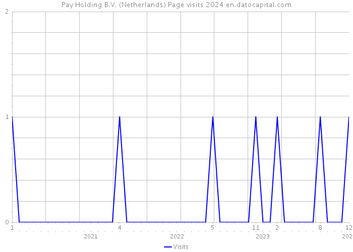 Pay Holding B.V. (Netherlands) Page visits 2024 