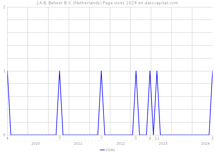 J.A.B. Beheer B.V. (Netherlands) Page visits 2024 