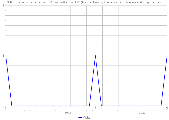 DMC interim management & consultancy B.V. (Netherlands) Page visits 2024 