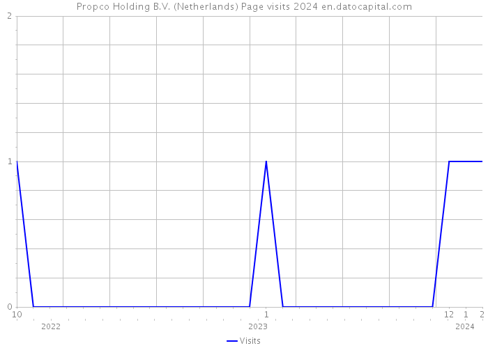 Propco Holding B.V. (Netherlands) Page visits 2024 