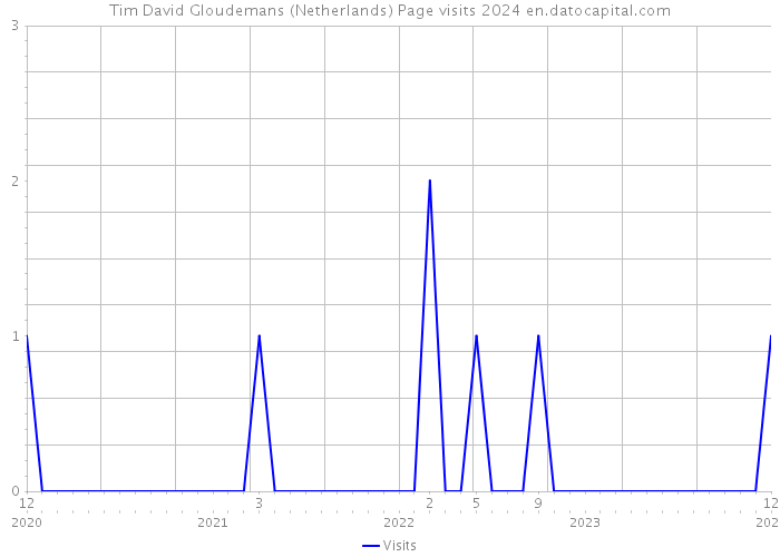 Tim David Gloudemans (Netherlands) Page visits 2024 