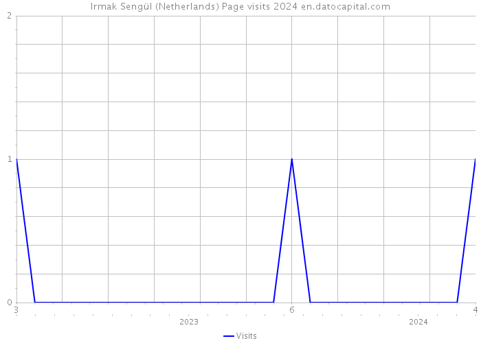 Irmak Sengül (Netherlands) Page visits 2024 